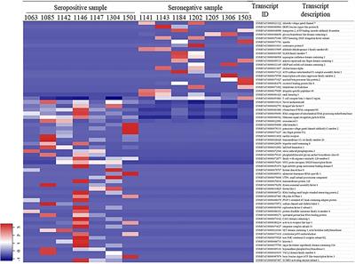 Expression Profiles and Interaction of MicroRNA and Transcripts in Response to Bovine Leukemia Virus Exposure